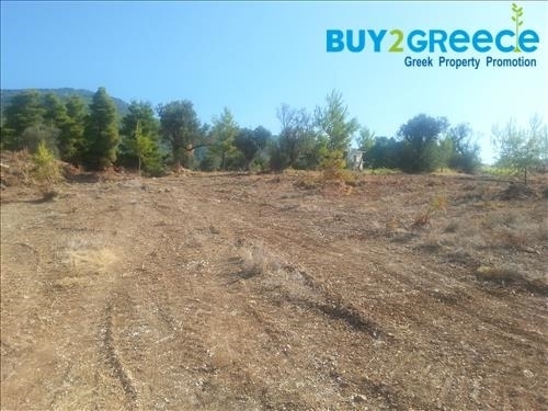 (For Sale) Land Agricultural Land  || Evoia/Messapia - 5.700 Sq.m, 89.000€ ||| ID :1521074-8