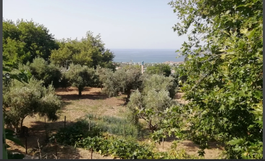 (For Sale) Land Plot || Evoia/Karystos - 1.750 Sq.m, 185.000€ ||| ID :1521736-3