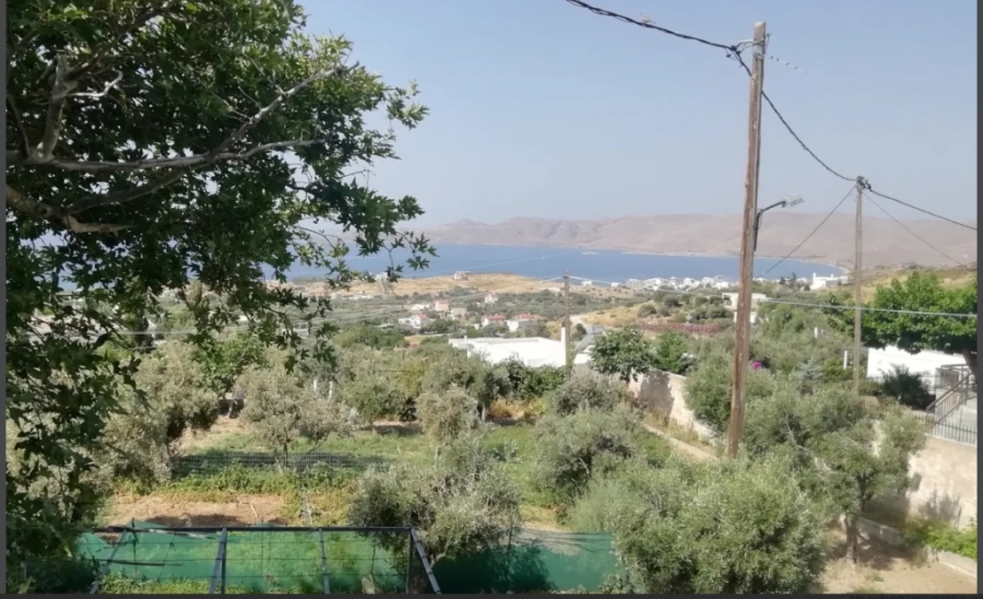 (For Sale) Land Plot || Evoia/Karystos - 1.750 Sq.m, 185.000€ ||| ID :1521736-4