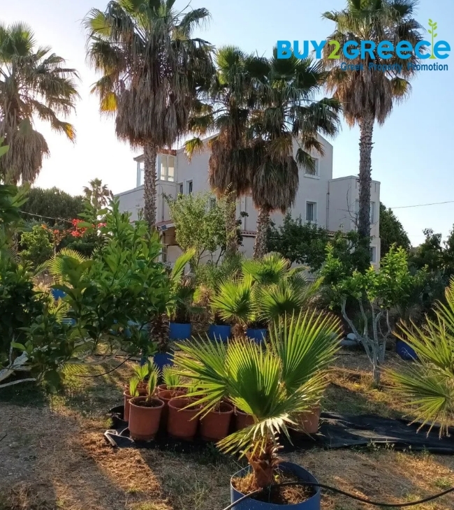 (For Sale) Residential Other properties || Dodekanisa/Kos Chora - 420 Sq.m, 4 Bedrooms, 750.000€ ||| ID :1533114-14