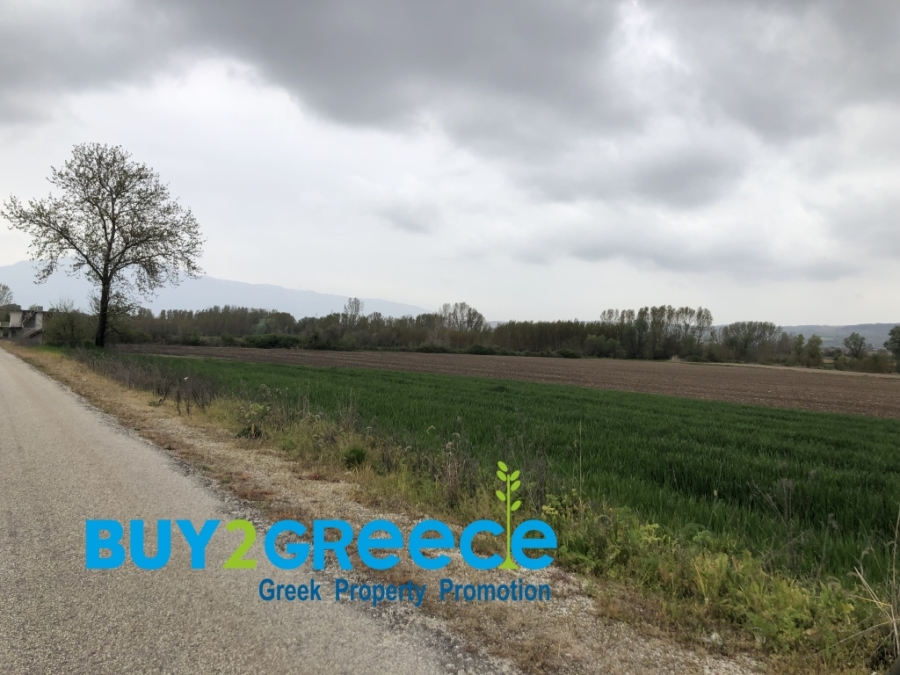 (For Sale) Land Agricultural Land  || Drama/Prosotsani - 4.010 Sq.m, 33.000€ ||| ID :1549480