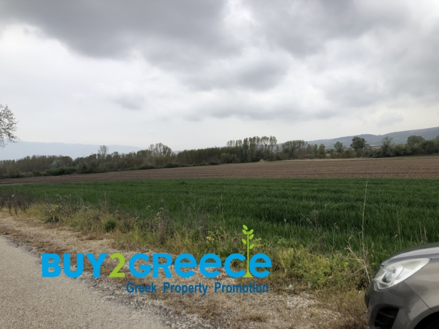 (For Sale) Land Agricultural Land  || Drama/Prosotsani - 4.010 Sq.m, 33.000€ ||| ID :1549480-2