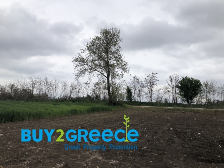 (For Sale) Land Agricultural Land  || Drama/Prosotsani - 4.010 Sq.m, 33.000€ ||| ID :1549480-3