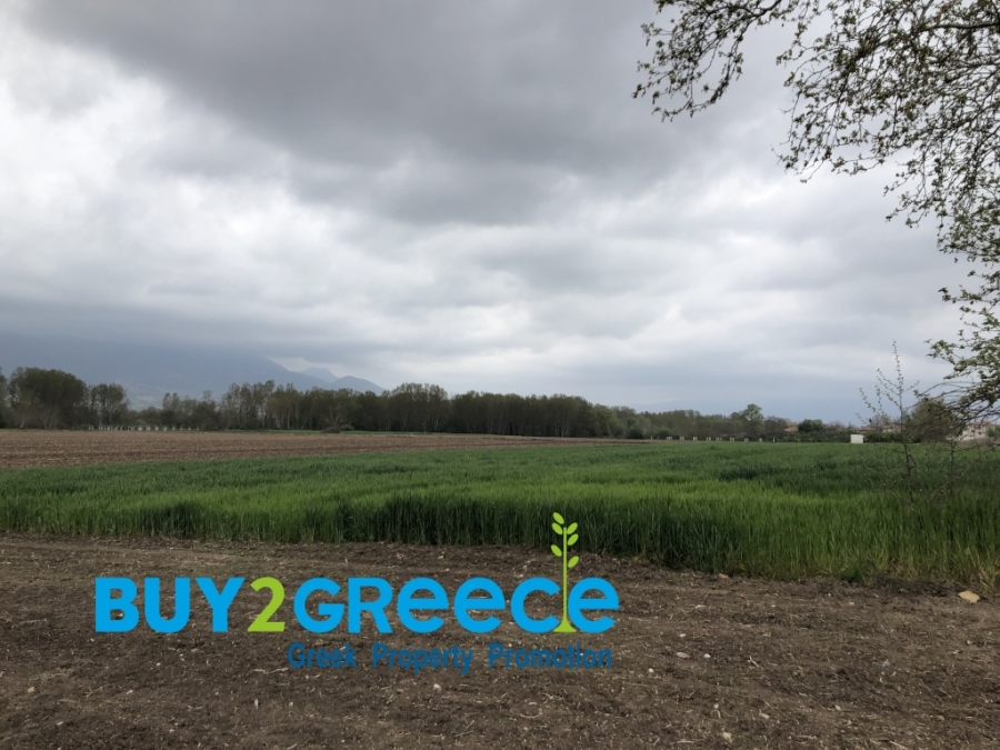 (For Sale) Land Agricultural Land  || Drama/Prosotsani - 4.010 Sq.m, 33.000€ ||| ID :1549480-4