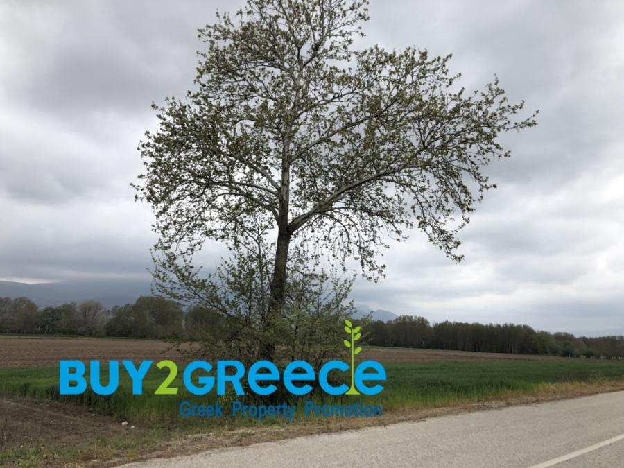 (For Sale) Land Agricultural Land  || Drama/Prosotsani - 4.010 Sq.m, 33.000€ ||| ID :1549480-5