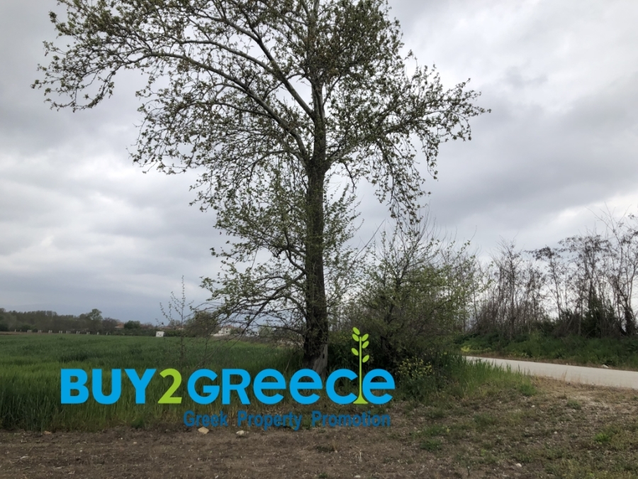 (For Sale) Land Agricultural Land  || Drama/Prosotsani - 4.010 Sq.m, 33.000€ ||| ID :1549480-6