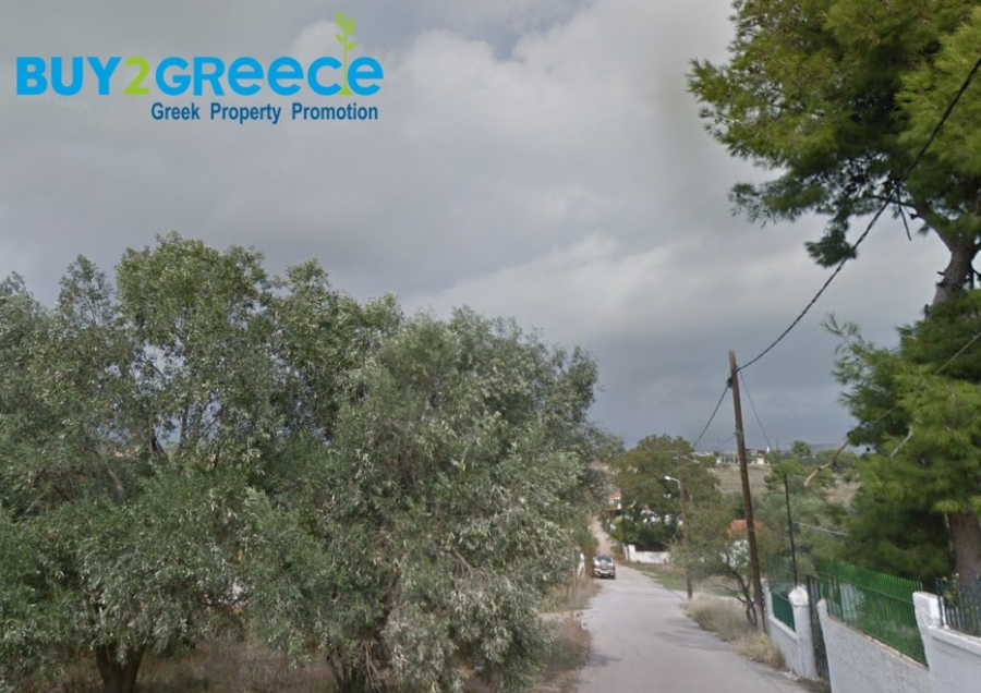 (For Sale) Land Plot || Piraias/Salamina-Ampelakia - 600 Sq.m, 55.000€ ||| ID :1550798-2