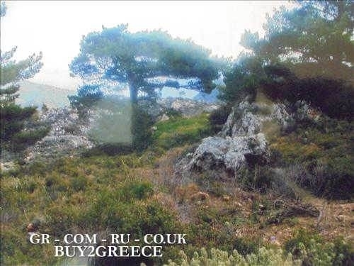 (For Sale) Land Plot || Dodekanisa/Karpathos - 8.200 Sq.m, 45.000€ ||| ID :1554384-2