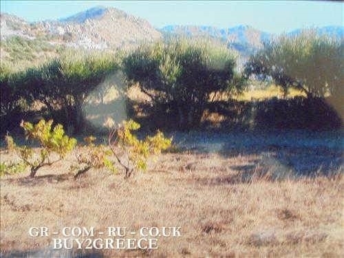 (For Sale) Land Plot || Dodekanisa/Karpathos - 8.200 Sq.m, 45.000€ ||| ID :1554384-4