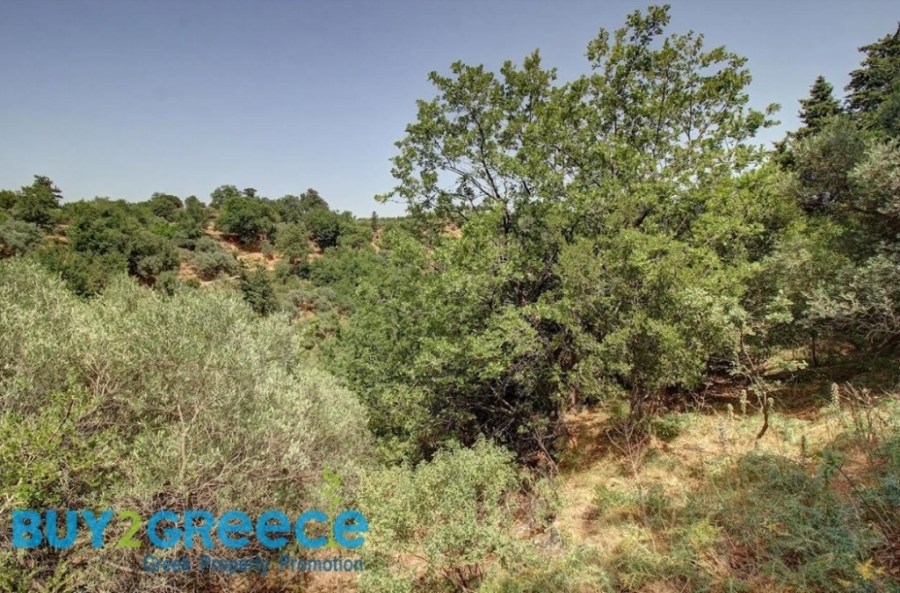 (For Sale) Land Plot || Chania/Armenoi - 4.000 Sq.m, 42.000€ ||| ID :1559288-3