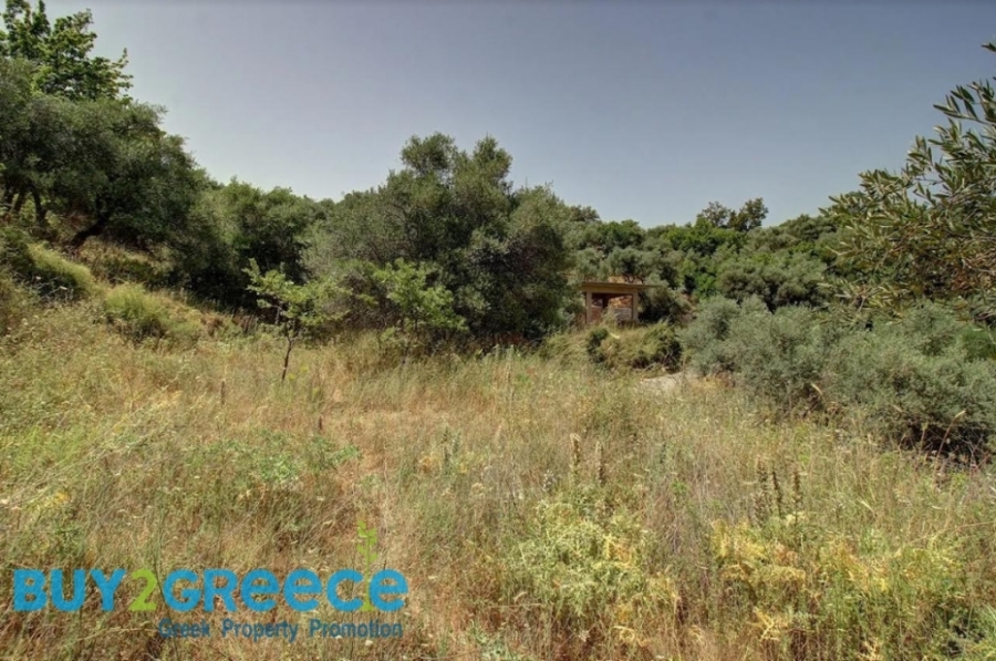 (For Sale) Land Plot || Chania/Armenoi - 4.000 Sq.m, 42.000€ ||| ID :1559288-4