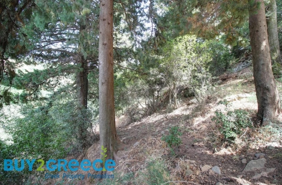 (For Sale) Land Plot || Chania/Armenoi - 4.000 Sq.m, 42.000€ ||| ID :1559288-6