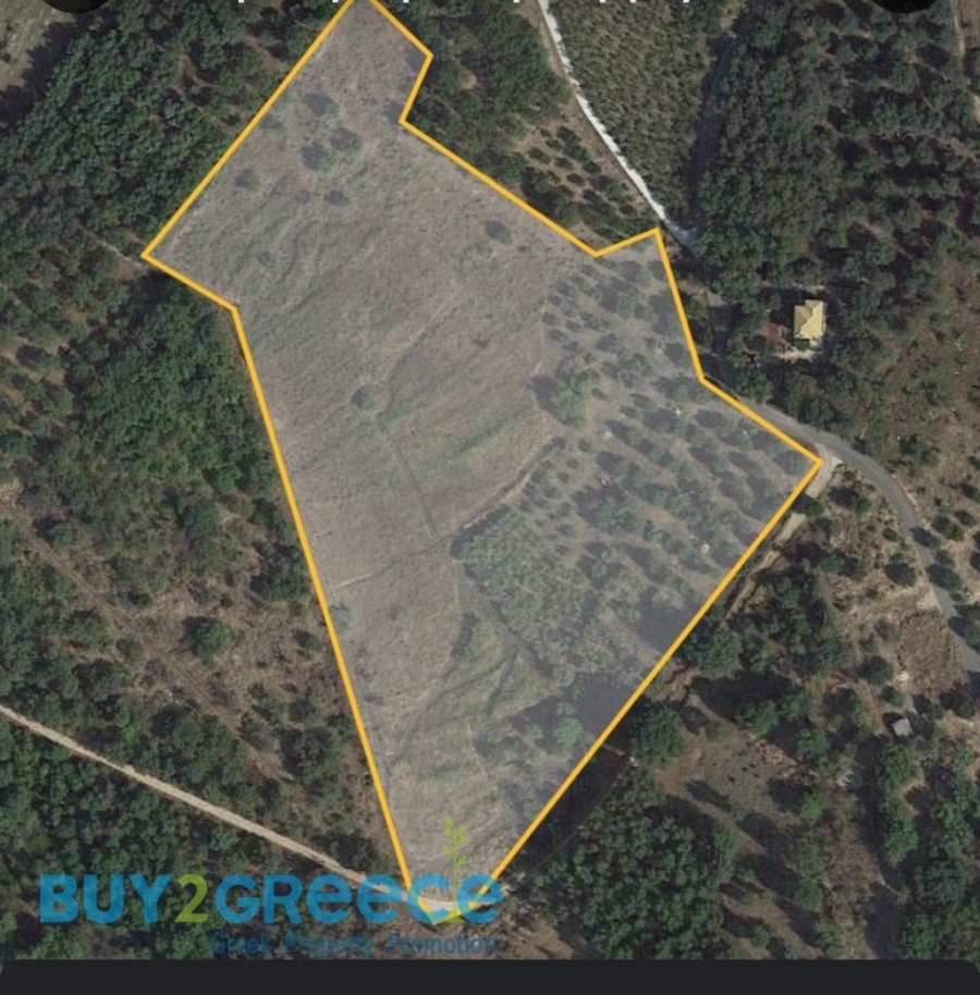 (For Sale) Land Plot || Corfu (Kerkira)/Thinalio - 23.550 Sq.m, 200.000€ ||| ID :1561865-4