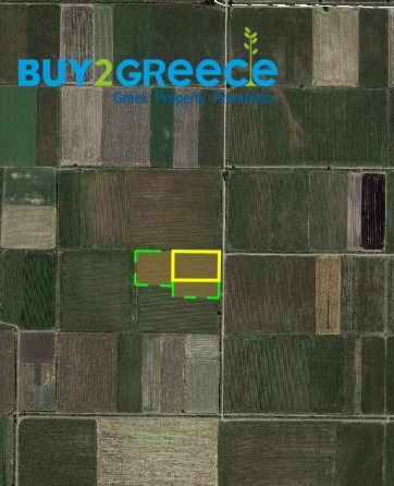 (For Sale) Land Agricultural Land  || Voiotia/Orchomenos - 20.000 Sq.m, 45.000€ ||| ID :1562814-3