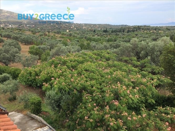 (For Sale) Residential Detached house || Evoia/Amarynthos - 138 Sq.m, 3 Bedrooms, 200.000€ ||| ID :1571067-15
