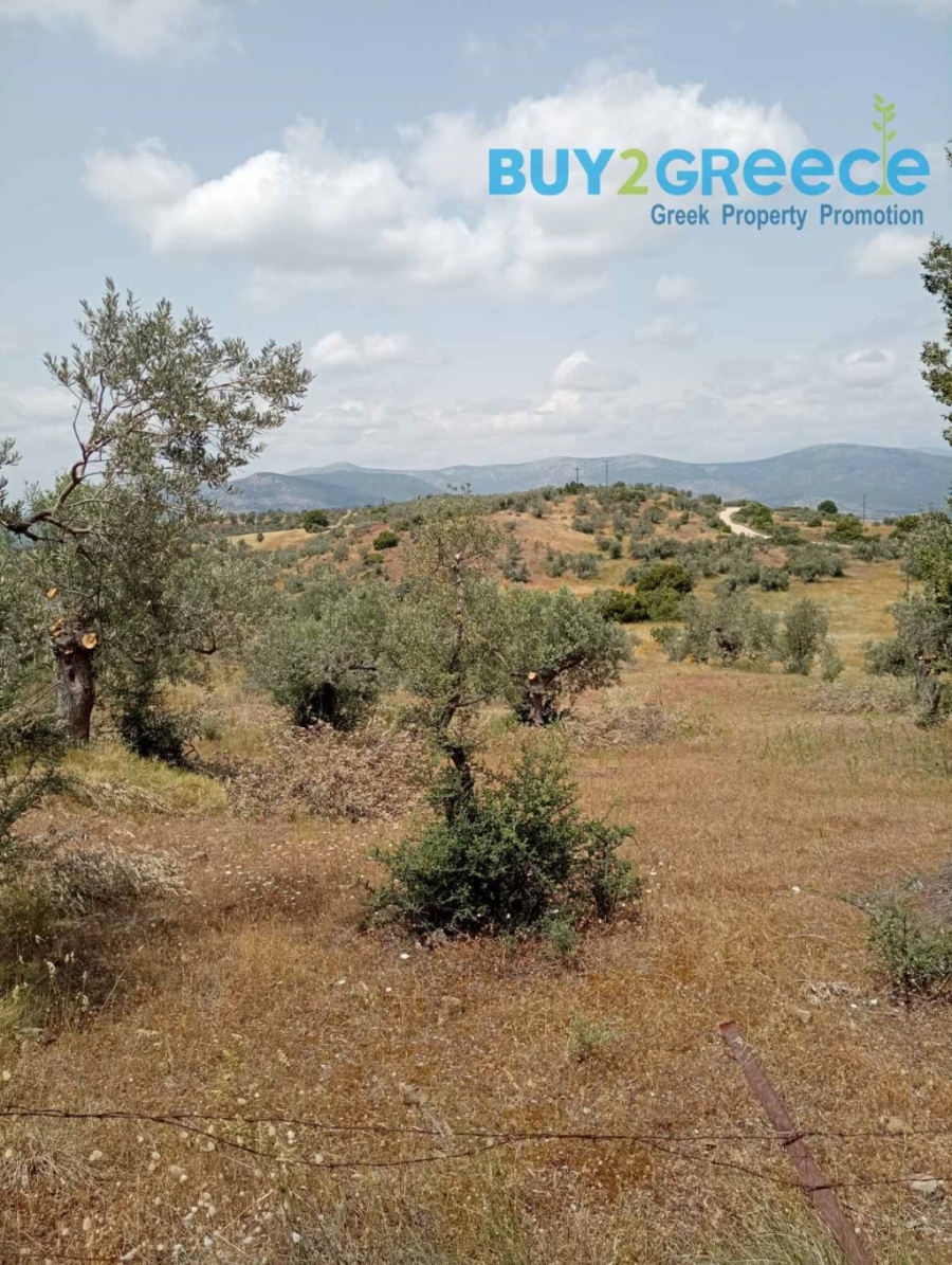 (For Sale) Land Plot out of City plans || Argolida/Kranidi - 39.000 Sq.m, 280.000€ ||| ID :1571197