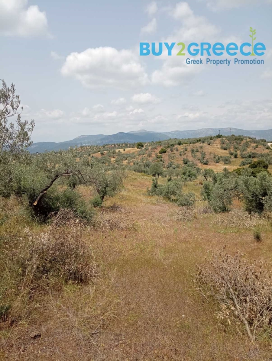 (For Sale) Land Plot out of City plans || Argolida/Kranidi - 39.000 Sq.m, 280.000€ ||| ID :1571197-2