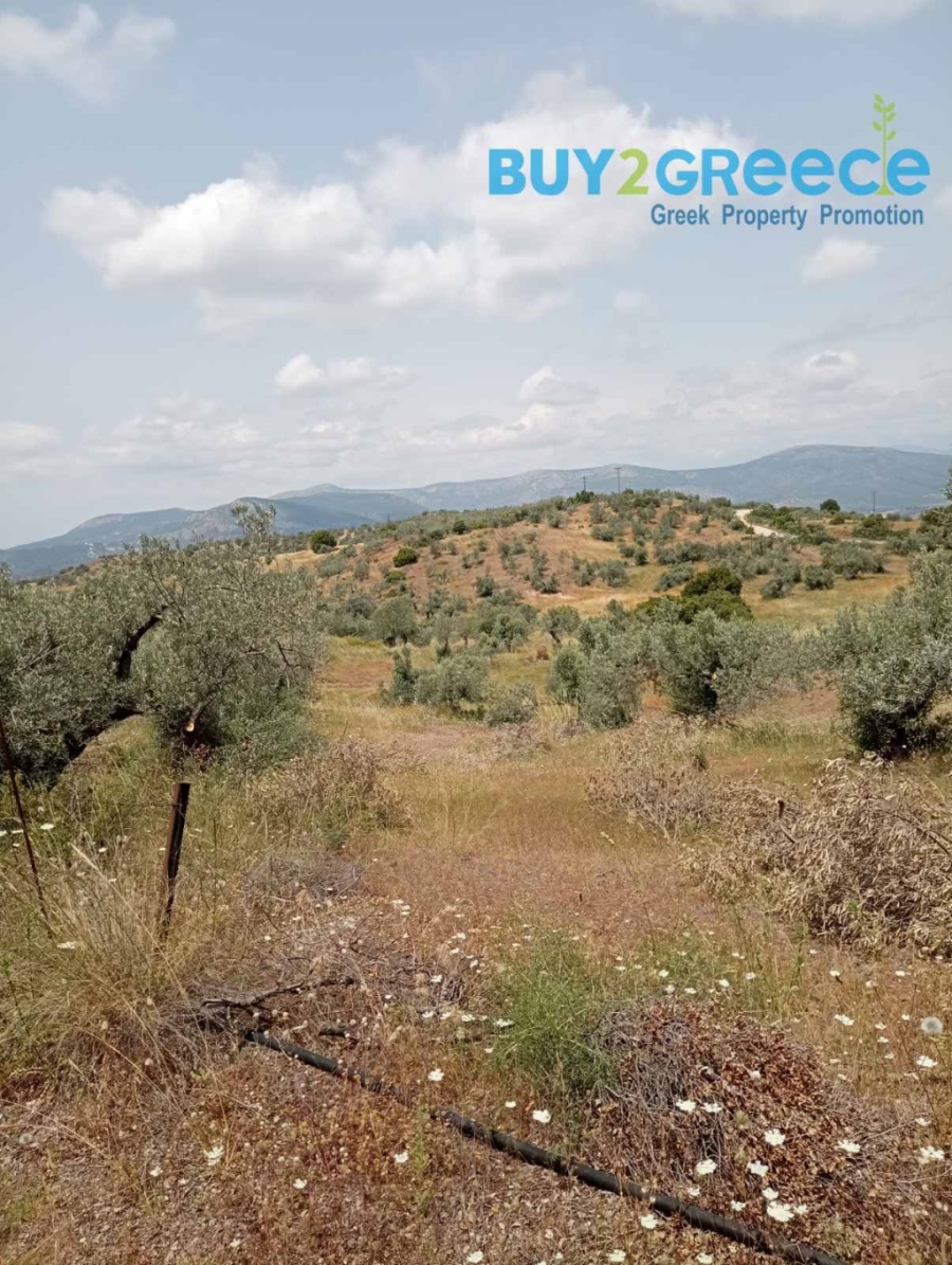 (For Sale) Land Plot out of City plans || Argolida/Kranidi - 39.000 Sq.m, 280.000€ ||| ID :1571197-3