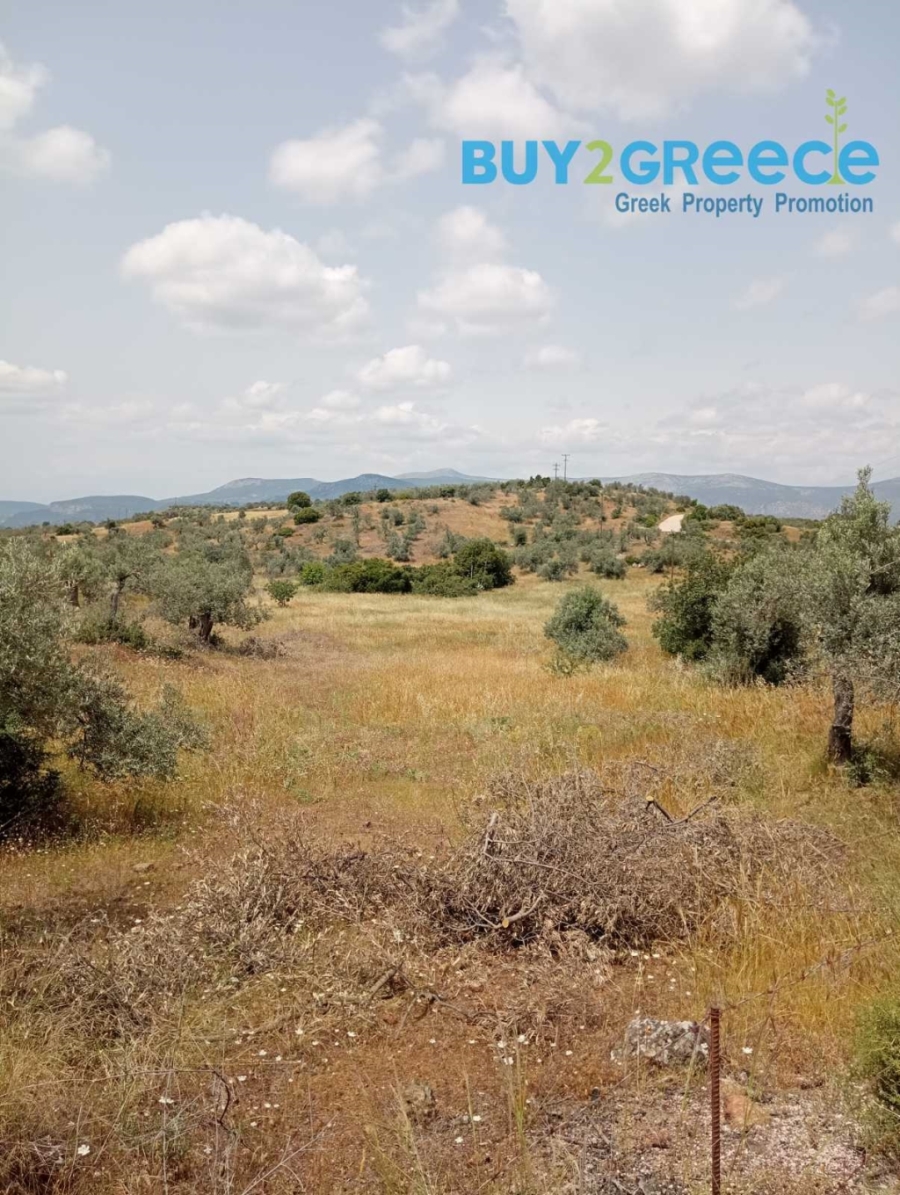 (For Sale) Land Plot out of City plans || Argolida/Kranidi - 39.000 Sq.m, 280.000€ ||| ID :1571197-4