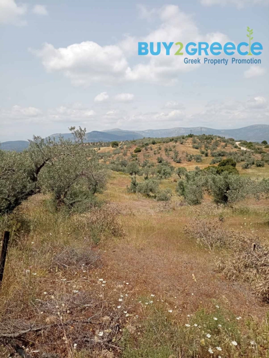 (For Sale) Land Plot out of City plans || Argolida/Kranidi - 39.000 Sq.m, 280.000€ ||| ID :1571197-5