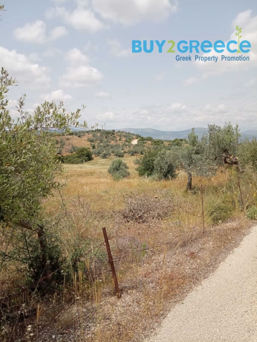 (For Sale) Land Plot out of City plans || Argolida/Kranidi - 39.000 Sq.m, 280.000€ ||| ID :1571197-6