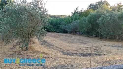 (For Sale) Land Plot || Corfu (Kerkira)/Esperies - 790 Sq.m, 50.000€ ||| ID :1572307