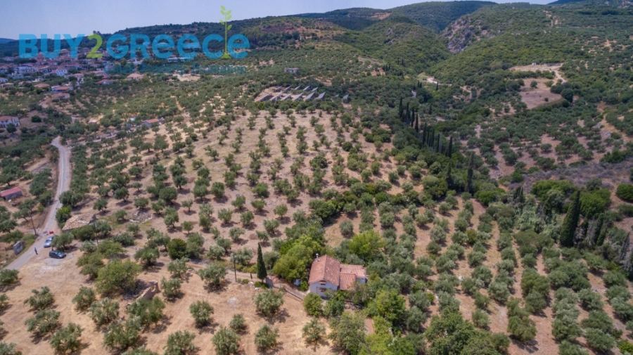 (For Sale) Land Plot || Messinia/Aipeia - 13.795 Sq.m, 150.000€ ||| ID :1584437-9