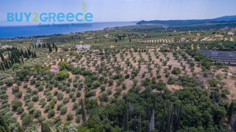 (For Sale) Land Plot || Messinia/Aipeia - 13.795 Sq.m, 150.000€ ||| ID :1584437-11