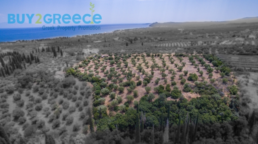 (For Sale) Land Plot || Messinia/Aipeia - 13.795 Sq.m, 150.000€ ||| ID :1584437-12