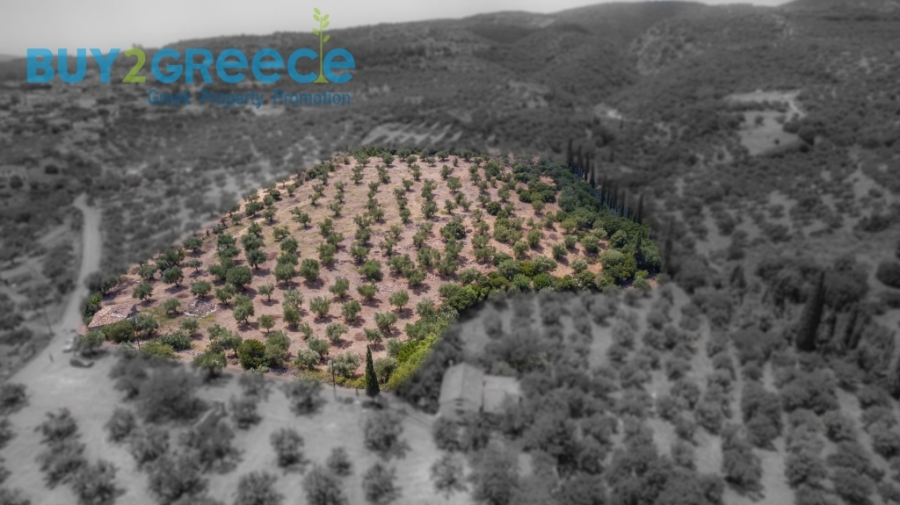 (For Sale) Land Plot || Messinia/Aipeia - 13.795 Sq.m, 150.000€ ||| ID :1584437-13