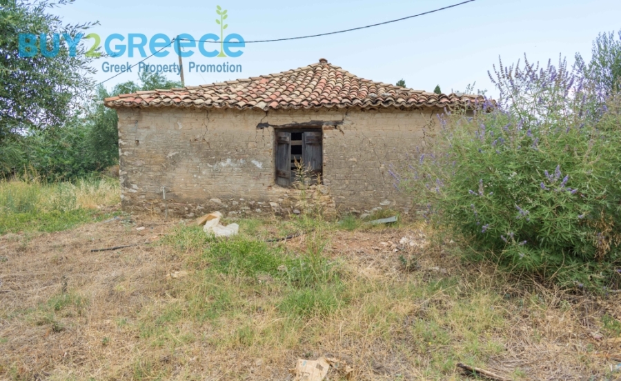 (For Sale) Land Plot || Messinia/Aipeia - 13.795 Sq.m, 150.000€ ||| ID :1584437-14