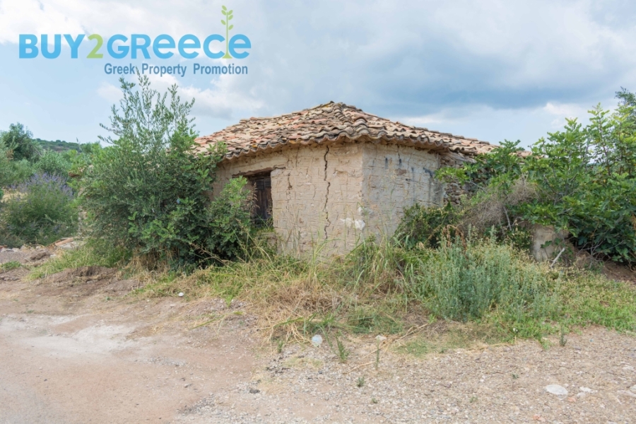 (For Sale) Land Plot || Messinia/Aipeia - 13.795 Sq.m, 150.000€ ||| ID :1584437-15