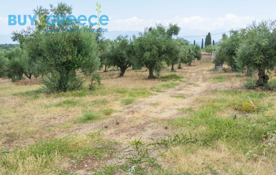 (For Sale) Land Plot || Messinia/Aipeia - 13.795 Sq.m, 150.000€ ||| ID :1584437-17