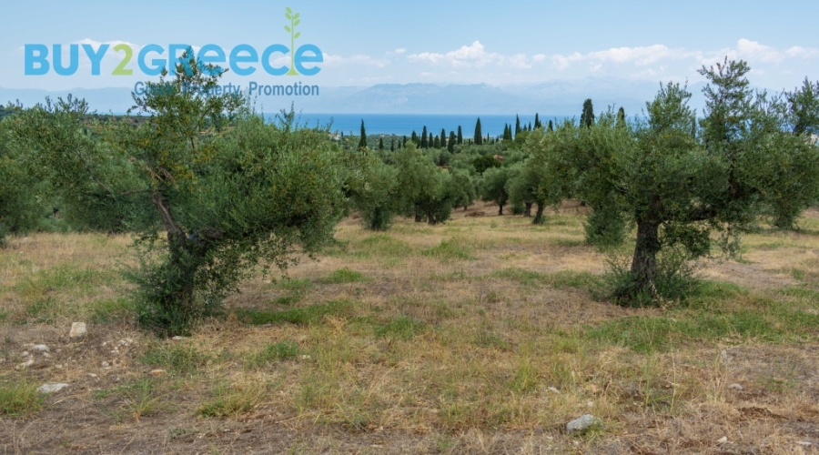 (For Sale) Land Plot || Messinia/Aipeia - 13.795 Sq.m, 150.000€ ||| ID :1584437-19