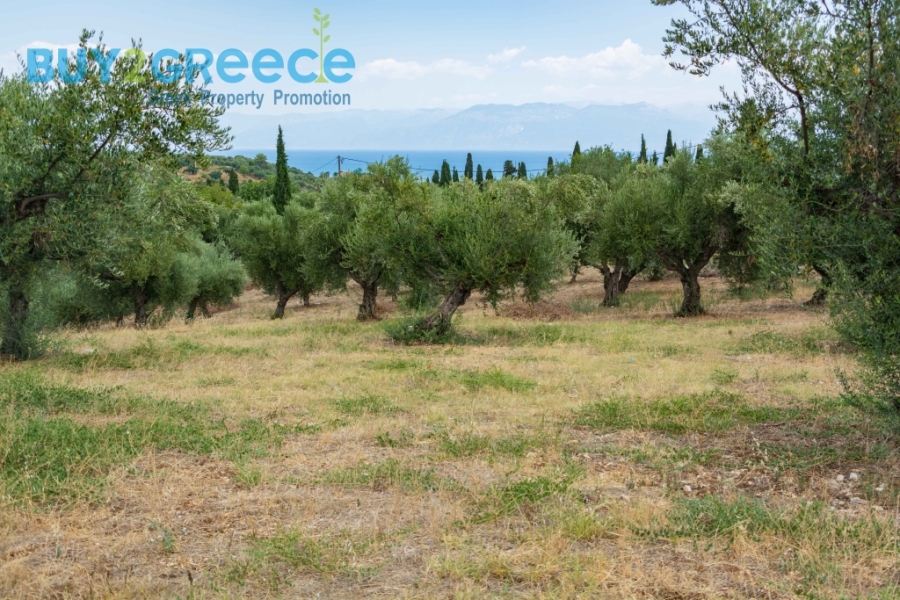 (For Sale) Land Plot || Messinia/Aipeia - 13.795 Sq.m, 150.000€ ||| ID :1584437-20