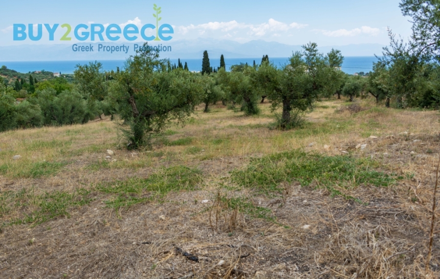 (For Sale) Land Plot || Messinia/Aipeia - 13.795 Sq.m, 150.000€ ||| ID :1584437-21