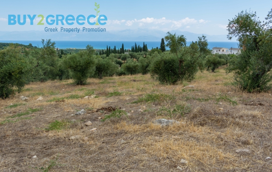 (For Sale) Land Plot || Messinia/Aipeia - 13.795 Sq.m, 150.000€ ||| ID :1584437-22