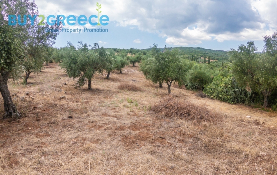 (For Sale) Land Plot || Messinia/Aipeia - 13.795 Sq.m, 150.000€ ||| ID :1584437-23