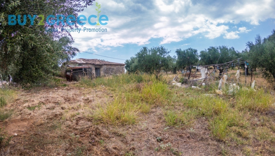 (For Sale) Land Plot || Messinia/Aipeia - 13.795 Sq.m, 150.000€ ||| ID :1584437-24