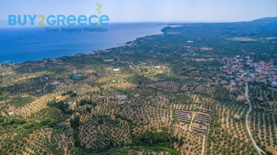 (For Sale) Land Plot || Messinia/Aipeia - 13.795 Sq.m, 150.000€ ||| ID :1584437-2