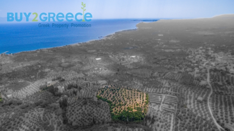 (For Sale) Land Plot || Messinia/Aipeia - 13.795 Sq.m, 150.000€ ||| ID :1584437-3