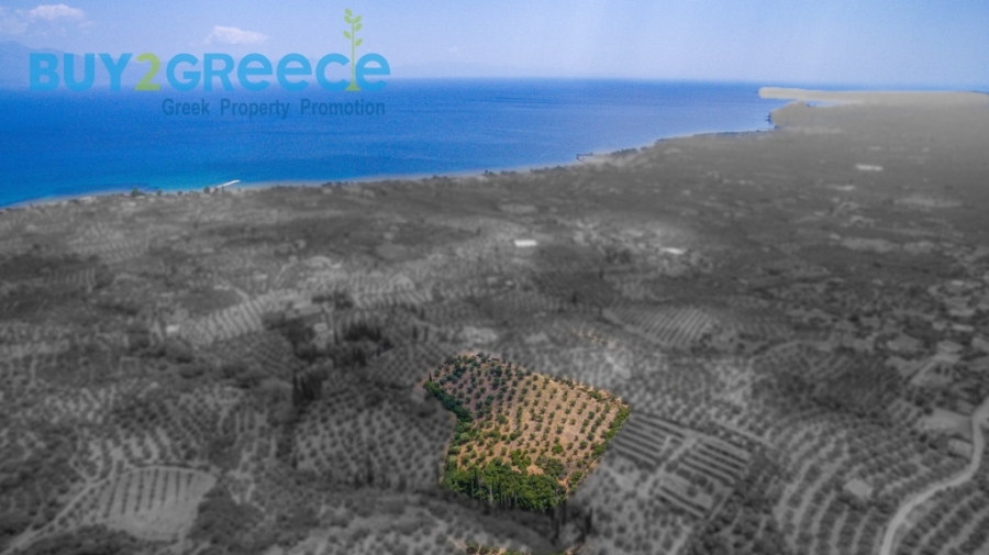 (For Sale) Land Plot || Messinia/Aipeia - 13.795 Sq.m, 150.000€ ||| ID :1584437-4