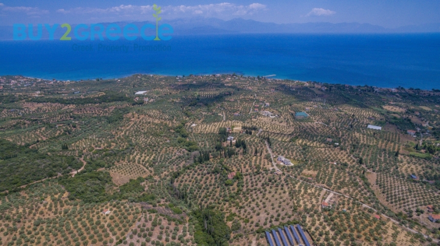 (For Sale) Land Plot || Messinia/Aipeia - 13.795 Sq.m, 150.000€ ||| ID :1584437-5