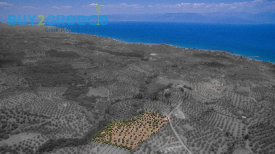 (For Sale) Land Plot || Messinia/Aipeia - 13.795 Sq.m, 150.000€ ||| ID :1584437-6