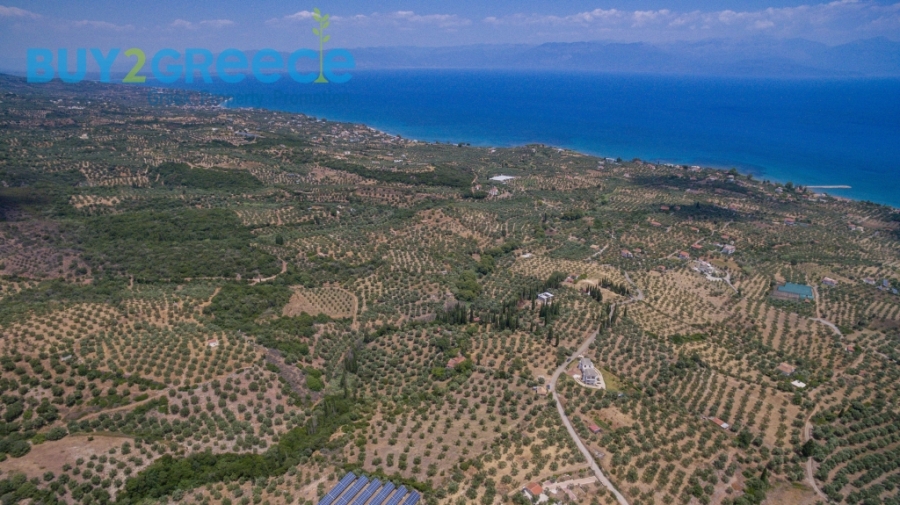 (For Sale) Land Plot || Messinia/Aipeia - 13.795 Sq.m, 150.000€ ||| ID :1584437-7