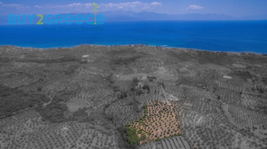 (For Sale) Land Plot || Messinia/Aipeia - 13.795 Sq.m, 150.000€ ||| ID :1584437-8