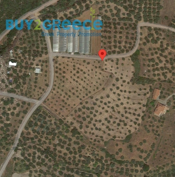 (For Sale) Land Plot || Messinia/Aipeia - 7.400 Sq.m, 160.000€ ||| ID :1584471-5