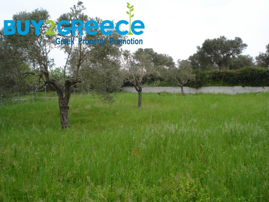 (For Sale) Land Plot || Evoia/Kymi - 993 Sq.m, 45.000€ ||| ID :1592889