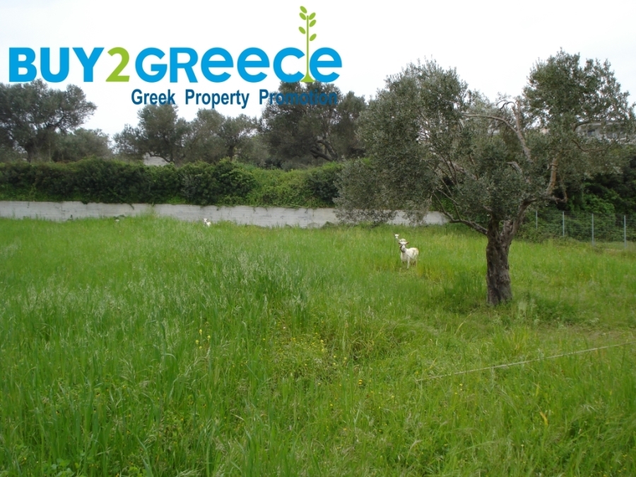 (For Sale) Land Plot || Evoia/Kymi - 993 Sq.m, 45.000€ ||| ID :1592889-2