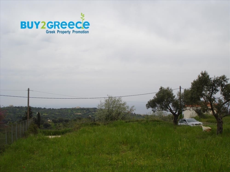 (For Sale) Land Plot || Evoia/Kymi - 993 Sq.m, 45.000€ ||| ID :1592889-4